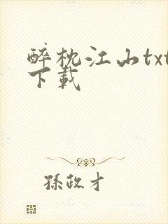 醉枕江山txt下载