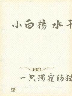 小白杨 水千丞