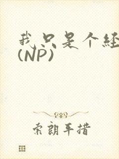 我只是个经纪人(NP)