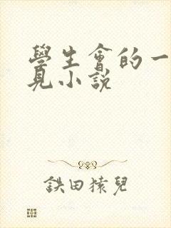 学生会的一己之见小说