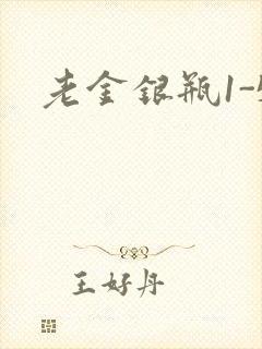 老金银瓶1-5