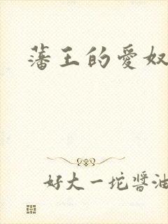 藩王的爱奴