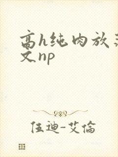 高h纯肉放荡h文np