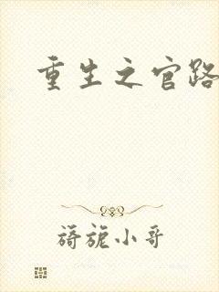 重生之官路风流