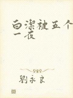 白洁被五个人玩一夜