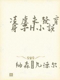凌虐未发育的小身子H小说