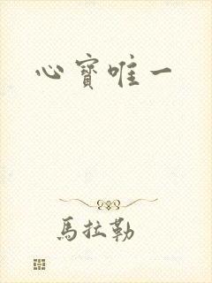 心宝唯一