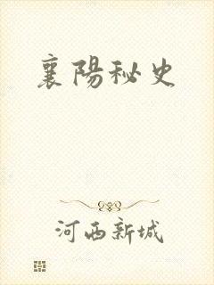 襄阳秘史