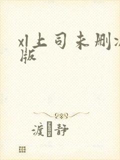 xl上司未删减版