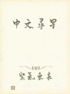 中文寻星