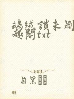 鹅绒锁未删除笔趣阁txt