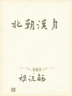 北朝汉月