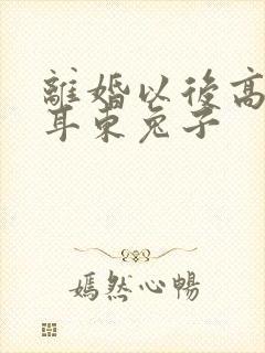 离婚以后高干 耳东兔子