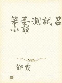 笨蛋测试召唤兽小说