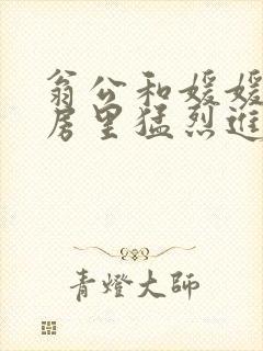 翁公和媛媛在厨房里猛烈进出