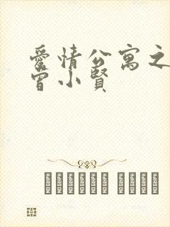 爱情公寓之极品曾小贤