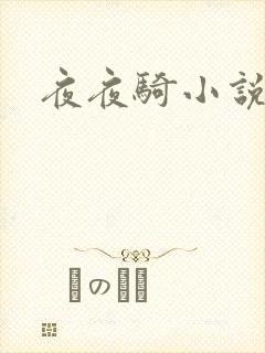 夜夜骑小说