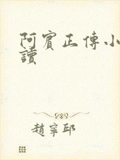 阿宾正传小说在读