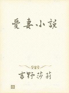 爱妻小说