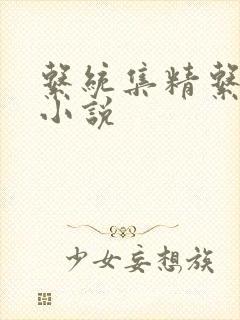 系统集精系统 小说