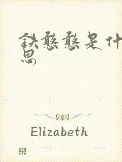 铁憨憨是什么意思