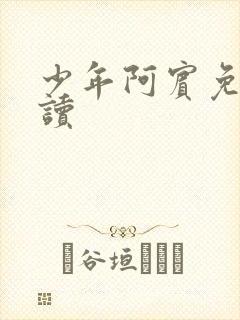 少年阿宾免费阅读