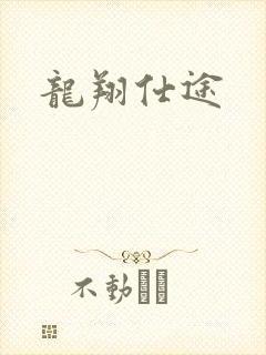 龙翔仕途