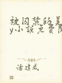 被囚禁的美人by小说免费阅读