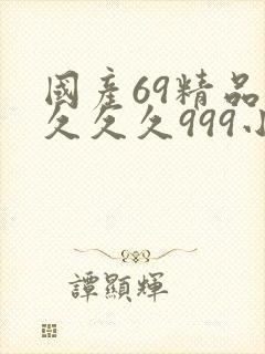 国产69精品久久久久999小说