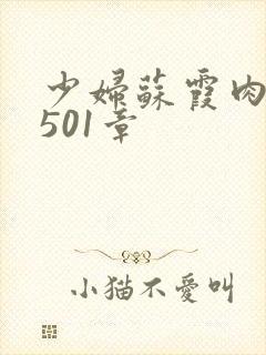 少妇苏霞肉欲第501章