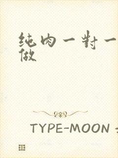 纯肉一对一到处做