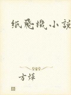 纸飞机小说