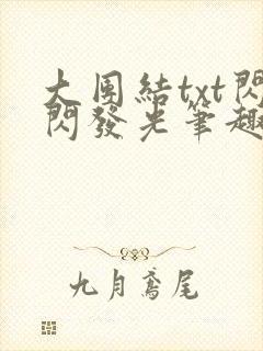 大团结txt闪闪发光笔趣阁