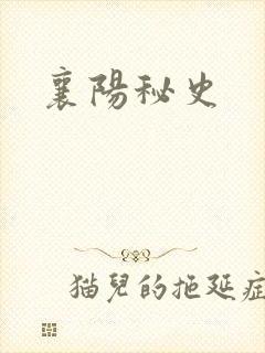 襄阳秘史