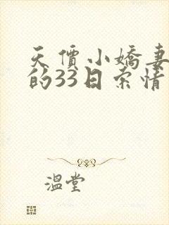 天价小娇妻总裁的33日索情