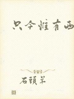 只今惟有西江月