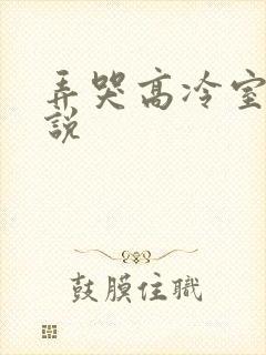 弄哭高冷室友小说