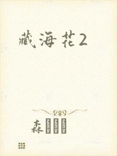 藏海花2