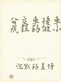 公交车后车座的疯狂的做小