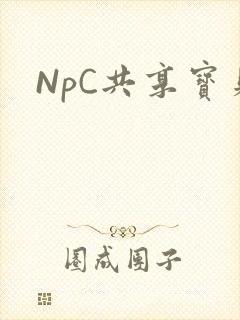 NpC共享宝贝