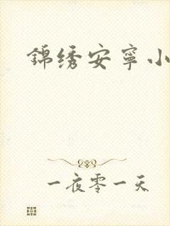 锦绣安宁小说