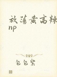 放荡黄高辣h文np