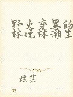 野火变异的父爱林晚林潮生