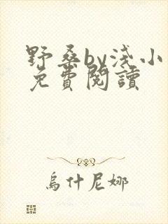 野桑by浅小说免费阅读