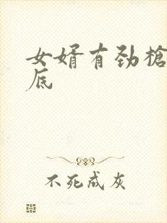 女婿有劲枪枪到底