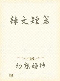 辣文短篇