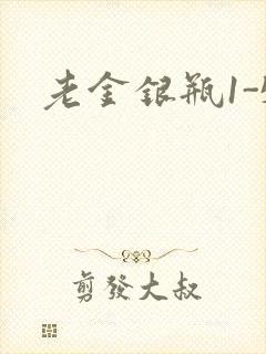 老金银瓶1-5