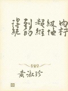 得到超级肉禽系统的维他柠檬茶