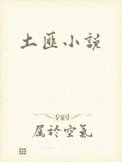 土匪小说