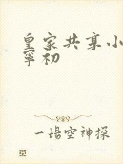 皇家共享小公主宁初